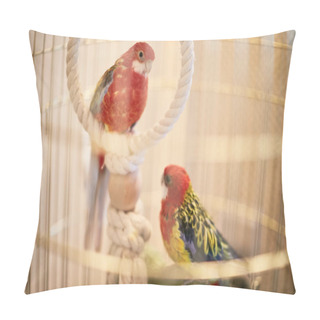 Personality  Rosy Faced Lovebird In A Cage Looking Down Pillow Covers