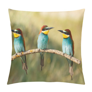 Personality  Three Of Bee-eaters On Branch With Blurred Background Pillow Covers