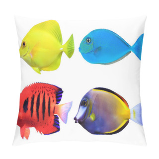 Personality  Set Of Tropical Sea Fishs Pillow Covers