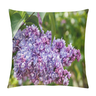 Personality  Lilac Branches On The Background Of The Park Or Garden. Spring Branches Of Blossoming Lilac Pillow Covers