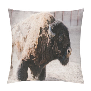Personality  Close Up View Of Wild Wisent At Zoo Pillow Covers