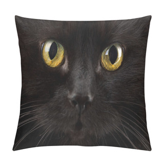 Personality  Eyes Of Black Cat Pillow Covers