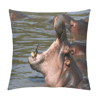 Personality  Hippo Mouth Wide Open In Africa Pillow Covers