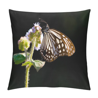 Personality  Milkweed Butterfly And Purple Flower Pillow Covers