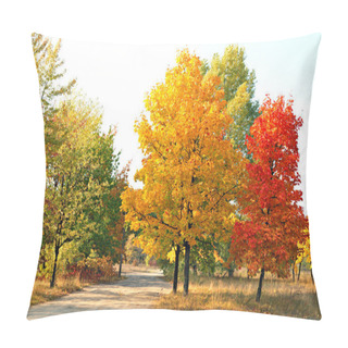 Personality  Autumn Maple Trees Pillow Covers