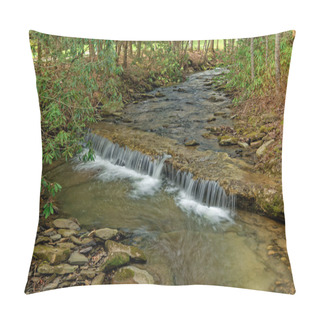 Personality  A Wide Creek With A Small Waterfall Full Of Rocks And Boulders Alongside The Trail In The Forest Surrounded By Rhododendrons On A Sunny Day In Late Wintertime Pillow Covers