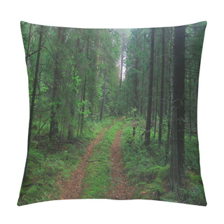 Personality  Summer Forest Landscape Pillow Covers