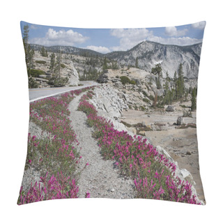 Personality  Roadside Flowers In Yosemite Park:  Wildflowers Along The Tioga Road Decorate The Arid Landscape In Early July. Pillow Covers