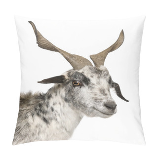 Personality  Close-up Headshot Of Rove Goat, 6 Years Old, In Front Of White Background Pillow Covers