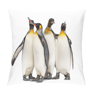 Personality  Colony Of King Penguins Together, Isolated On White Pillow Covers
