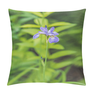 Personality  Close-up Shot Of Beautiful Iris Flower On Green Natural Background Pillow Covers