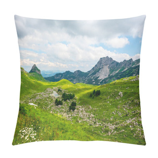 Personality  Beautiful Green Valley With Small Stones In Durmitor Massif, Montenegro Pillow Covers