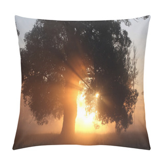 Personality  Delightful Dawn In Oak Pillow Covers