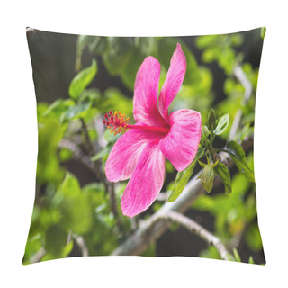 Personality  Purple Hibiscus Flower Pillow Covers