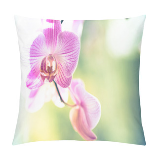 Personality  Orchid Flower Pillow Covers