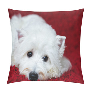 Personality  West Highland White Terrier Pillow Covers