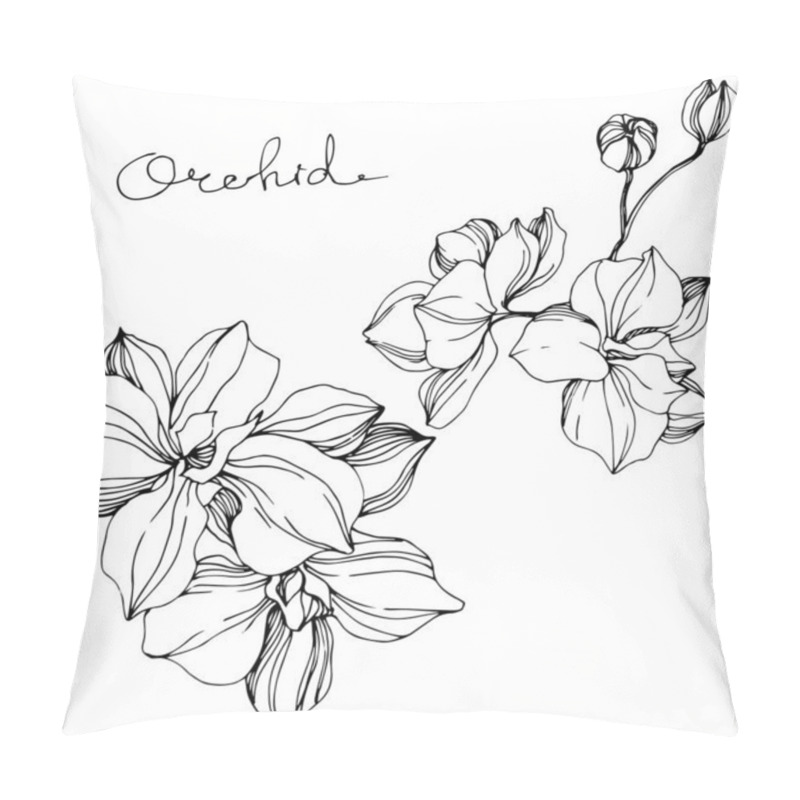 Personality  Vector Orchid floral botanical flower. Black and white engraved ink art. Isolated orchid illustration element. pillow covers