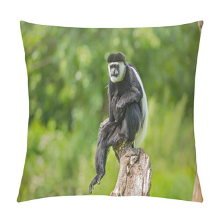 Personality  Mantled Guereza (Colobus Guereza)  Pillow Covers