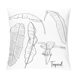 Personality  Tropical Plant. Vector Illustration In Botanical Style. Pillow Covers