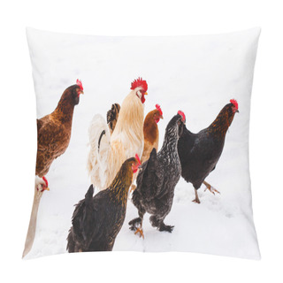 Personality  Chickens On Farm On White Pillow Covers