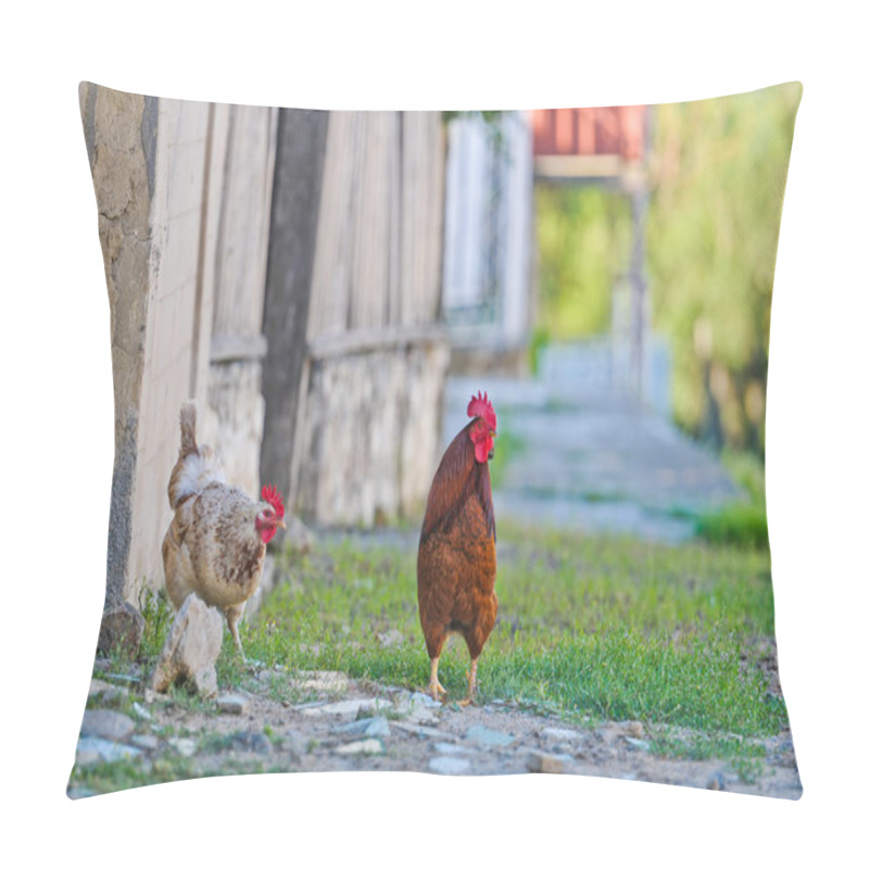 Personality  Chickens pillow covers