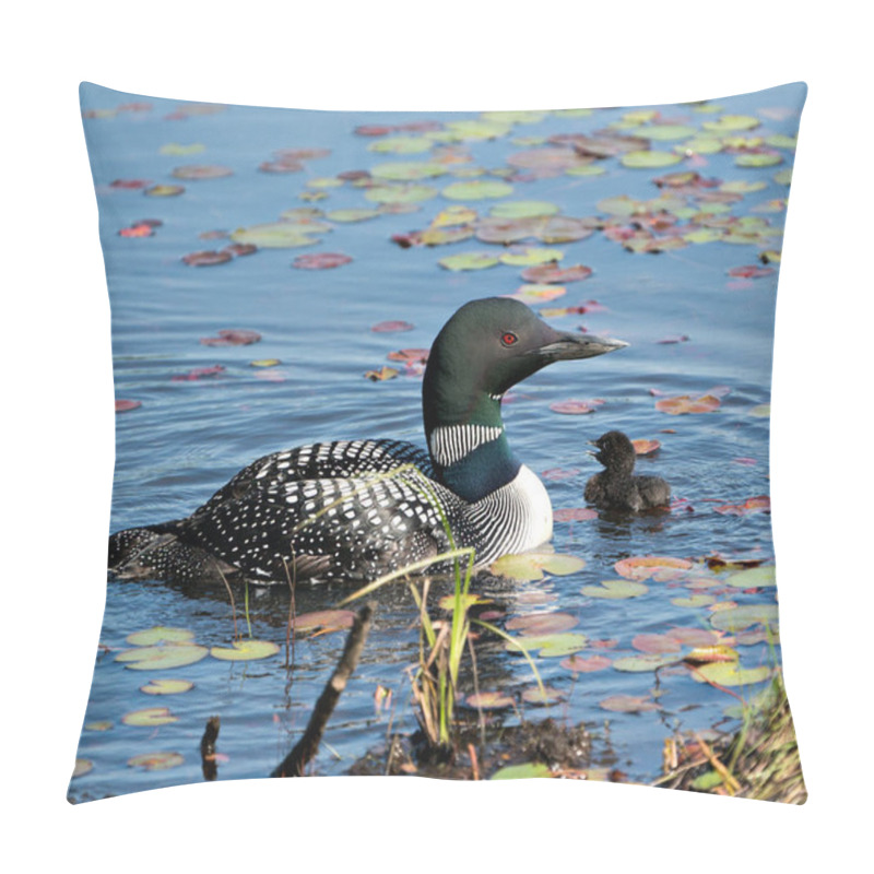 Personality  Common Loon and baby chick loon swimming in pond and celebrating the new life with water lily pads in their environment and habitat surrounding. Loon Picture. Portrait. Image. Photo. pillow covers