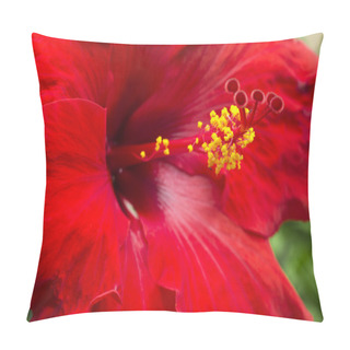 Personality  Large Red Hibiscus Pillow Covers