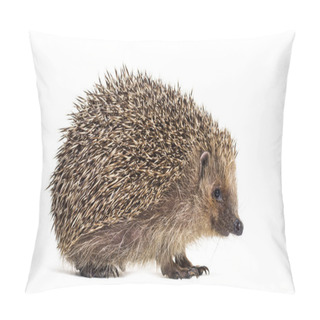 Personality  European Hedgehog, Erinaceus Europaeus Pillow Covers