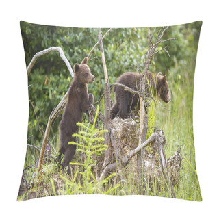 Personality  Two Brown Bear Cubs Climbing Uprooted Tree In Forest Pillow Covers