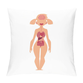 Personality  Anatomy Chart, Human Internal Organs, Female Body Pillow Covers