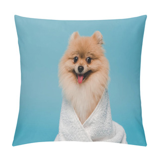 Personality  Adorable Pomeranian Spitz Dog Wrapped In Towel Isolated On Blue Pillow Covers