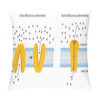 Personality  Diffusion Across The Plasma Membrane Pillow Covers