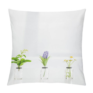 Personality  Salvia, Hyacinth And Chamomile Flowers In Transparent Bottles On White Background With Copy Space Pillow Covers