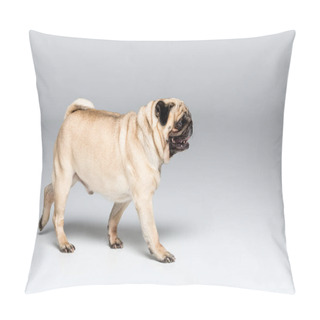 Personality  Cute Pug Dog Pillow Covers