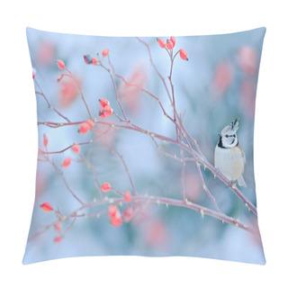 Personality  Cute Songbird Crested Tit Pillow Covers