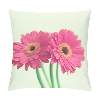 Personality  Pink Flowers On Mint Pillow Covers