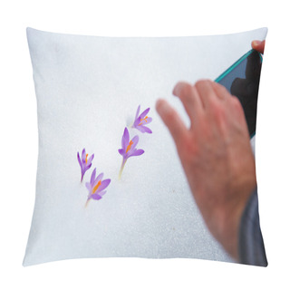 Personality  Phone Taking Pictures Of Flowers Of Spring. Crocuses In Snow Pillow Covers