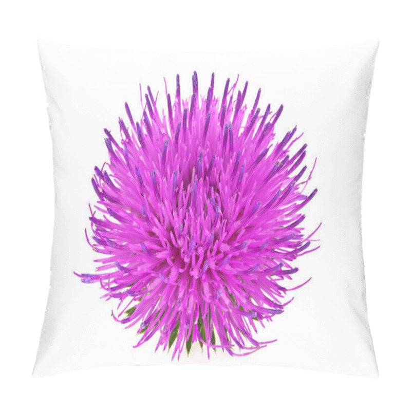 Personality  Milk thistle flower isolated on a white background pillow covers
