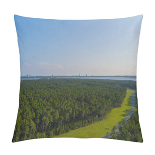 Personality  Aerial View Of The Gulf Coast Outdoors In Elberta, Alabama  Pillow Covers