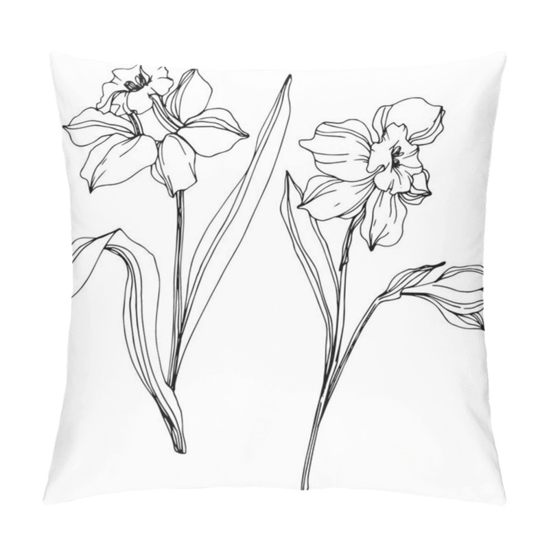 Personality  Vector narcissus flowers illustration isolated on white. Black and white engraved ink art.  pillow covers