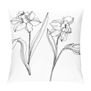 Personality  Vector Narcissus Flowers Illustration Isolated On White. Black And White Engraved Ink Art.  Pillow Covers