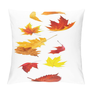 Personality  Falling Autumn Leaves. Red And Yellow Tree Leaves In The Air Isolated On White Background Pillow Covers