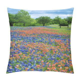 Personality  Wildflower Field In Texas Spring Pillow Covers