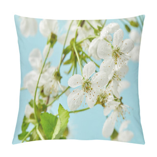 Personality  Close-up Shot Of Aromatic Cherry Flowers And Leaves Isolated On Blue Pillow Covers