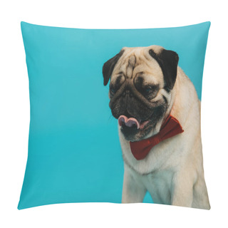 Personality  Stylish Pug Dog In Bow Tie Sticking Out Tongue Isolated On Blue   Pillow Covers