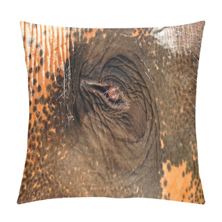 Personality  Elephant Eyes Pillow Covers