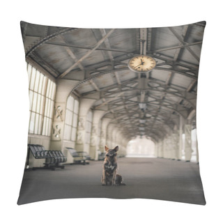 Personality  Dog At The Train Station. Traveling With The Pet. Pillow Covers