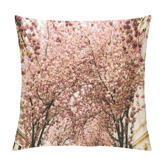 Personality  Cherry Blossoms Trees. Delicate Pink Rows Of Blooming Sakura, Bonn, Germany. Pillow Covers