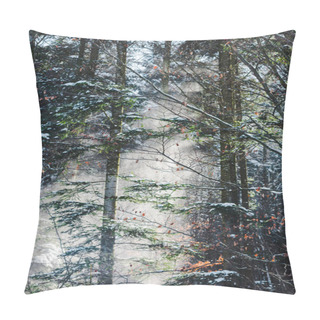 Personality  Forest In Carpathians With Sunshine Through Green Trees Branches Pillow Covers