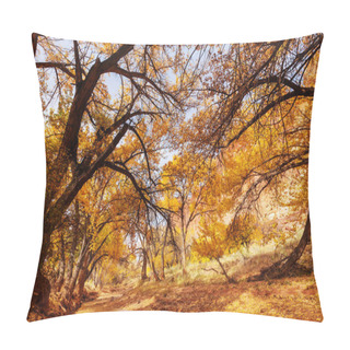 Personality  The Forest Creek In Autumn Pillow Covers